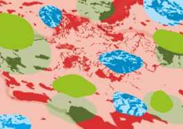 Global Peatland Hotspot Atlas 